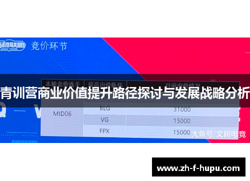 青训营商业价值提升路径探讨与发展战略分析