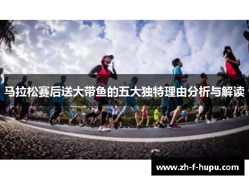 马拉松赛后送大带鱼的五大独特理由分析与解读
